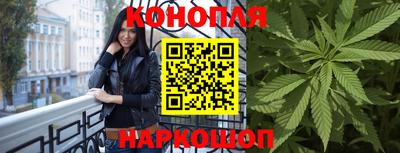 дурь Гай
