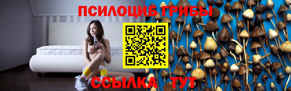Псилоцибиновые грибы мухоморы  Псилоцибиновые грибы MAGIC MUSHROOMS  Вход с VPN  Набережные Челны 